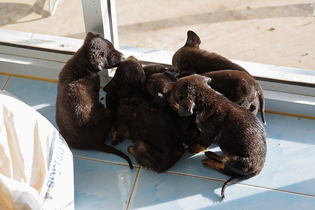 Famille et amis-MAI17-008